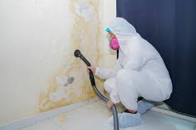 Environmental Consulting for Mold Prevention in Pistakee Highlands, IL